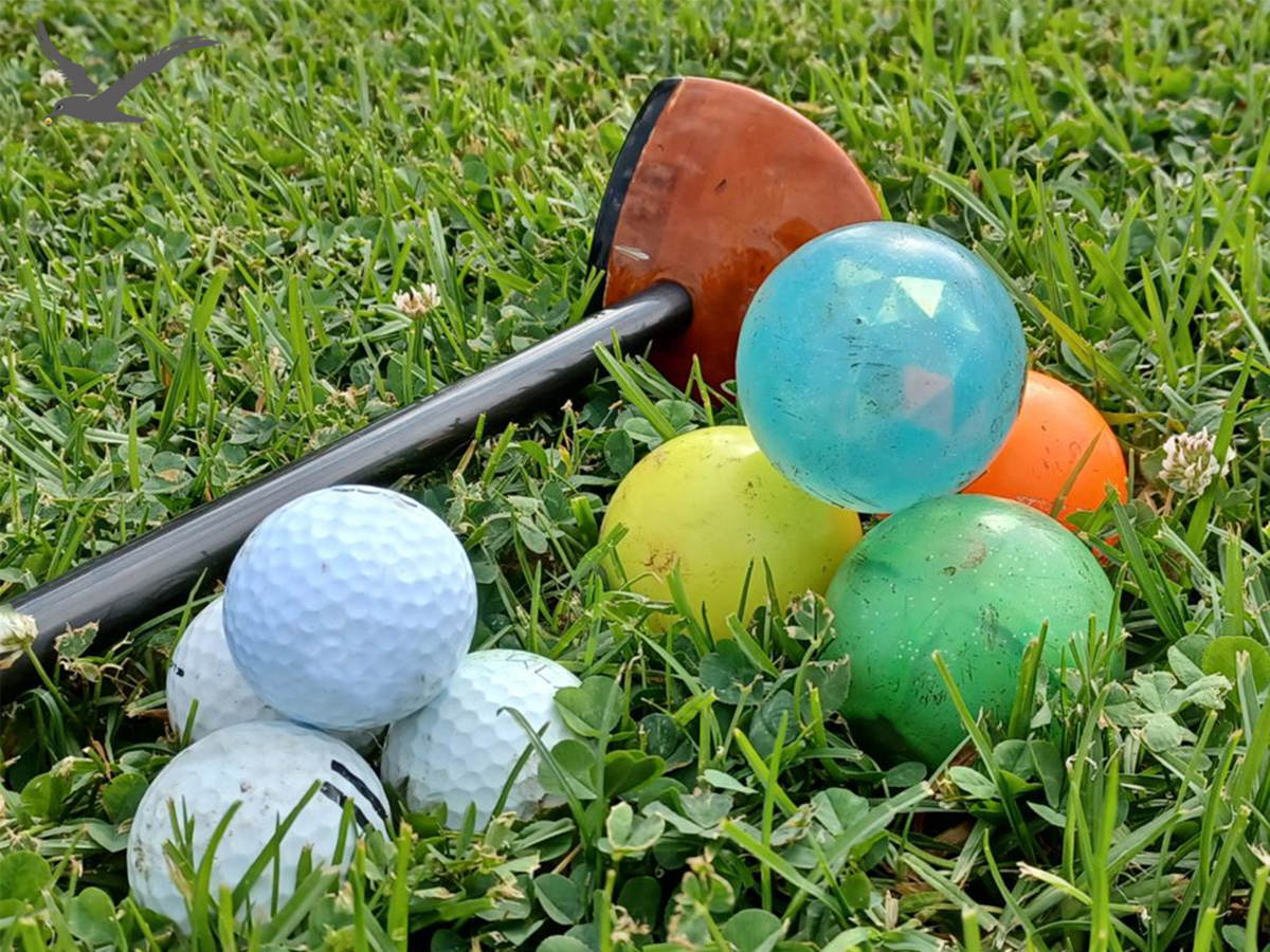 Raznolikost žog za golf park